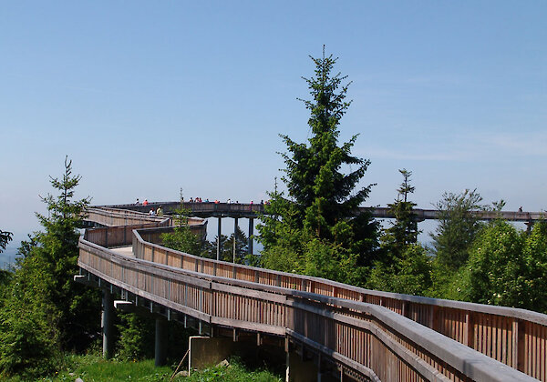 WaldWipfelWeg in Maibrunn bei St. Englmar
